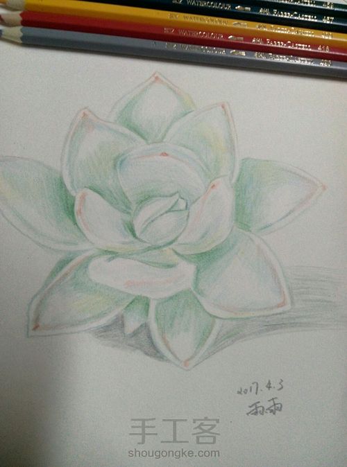 彩铅多肉 第5步