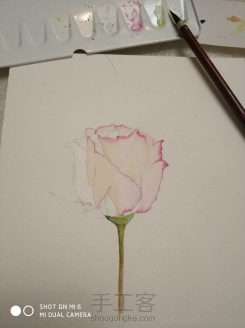 一朵粉红色的玫瑰，一段粉红色的回忆 第3步