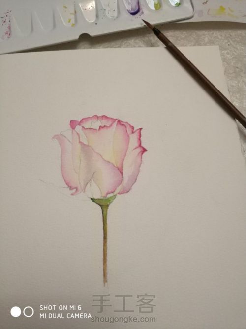 一朵粉红色的玫瑰，一段粉红色的回忆 第4步