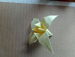 四瓣花