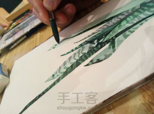 水彩装饰画虎尾兰 第7步