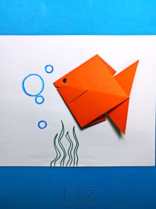 热带鱼的折纸教程 第15步
