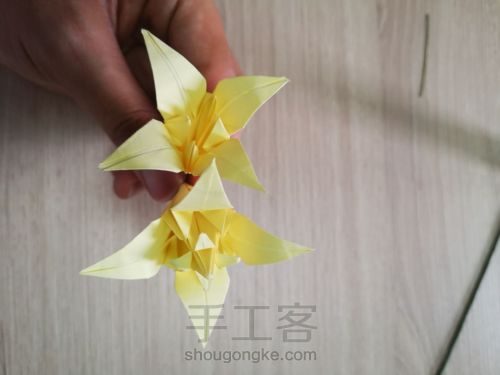 莹莹百合（重瓣百合）折纸教程 第12步