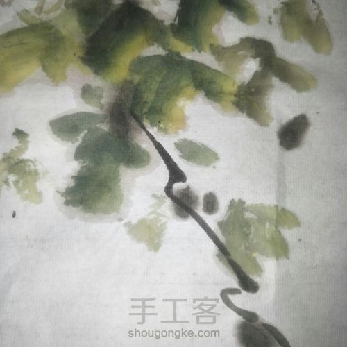 国画大写意-秋菊 第7步