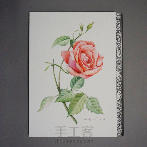 玫瑰画水彩花卉教程 第5步