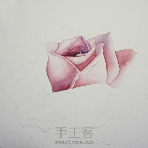 淡淡紫色玫瑰花水彩画教程 第4步