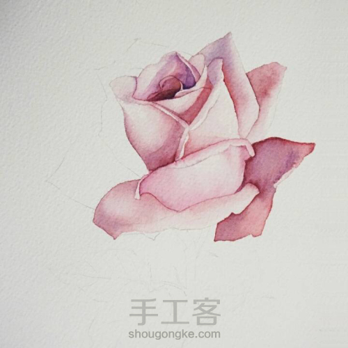 淡淡紫色玫瑰花水彩画教程 第5步