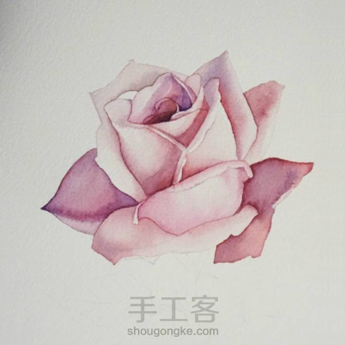淡淡紫色玫瑰花水彩画教程 第6步