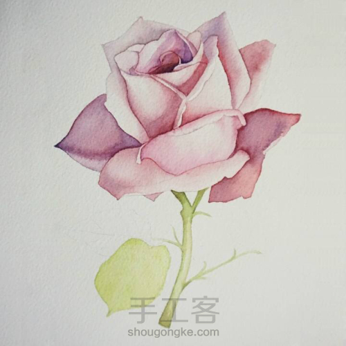 淡淡紫色玫瑰花水彩画教程 第7步