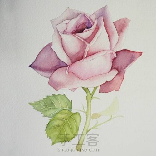 淡淡紫色玫瑰花水彩画教程 第9步