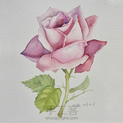 淡淡紫色玫瑰花水彩画教程 第10步