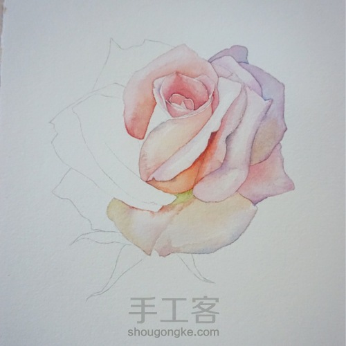 剔透水彩玫瑰花的画法 第5步