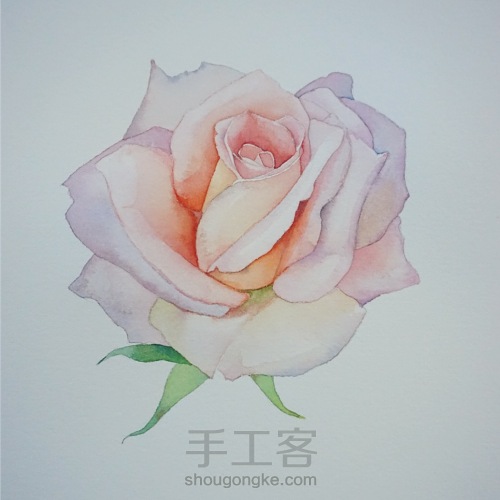 剔透水彩玫瑰花的画法 第7步