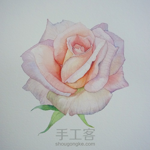 剔透水彩玫瑰花的画法 第8步
