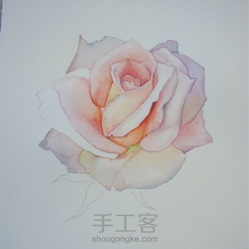 剔透水彩玫瑰花的画法 第6步