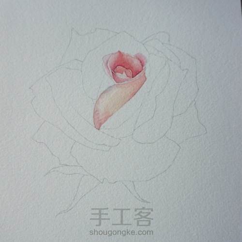 剔透水彩玫瑰花的画法 第3步