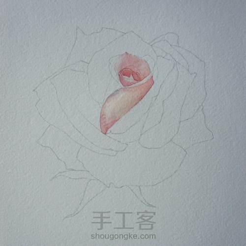 剔透水彩玫瑰花的画法 第2步