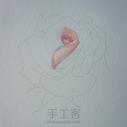剔透水彩玫瑰花的画法 第2步