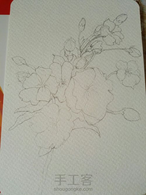 手绘樱花明信片 第1步