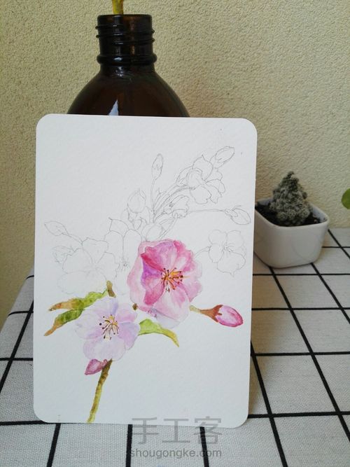 手绘樱花明信片 第2步