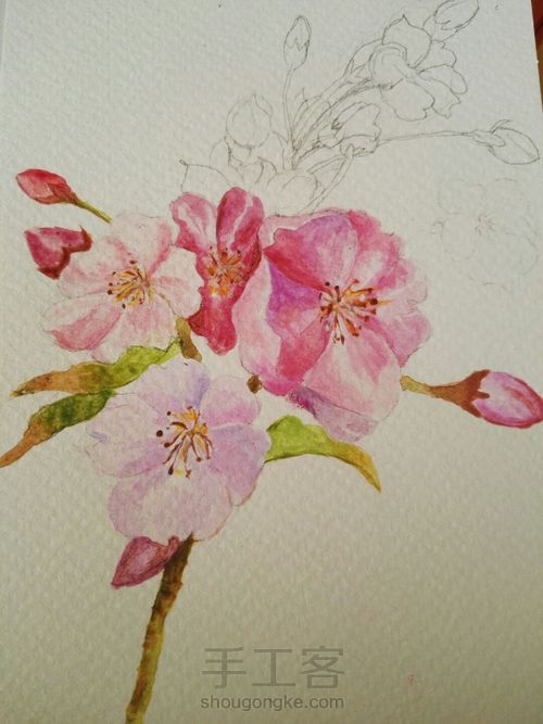 手绘樱花明信片 第4步