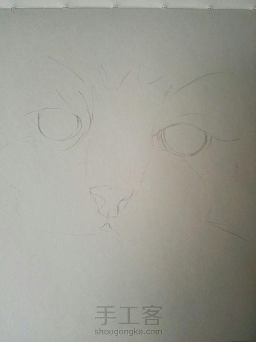 萌猫变张飞猫 第1步