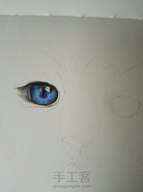 萌猫变张飞猫 第2步