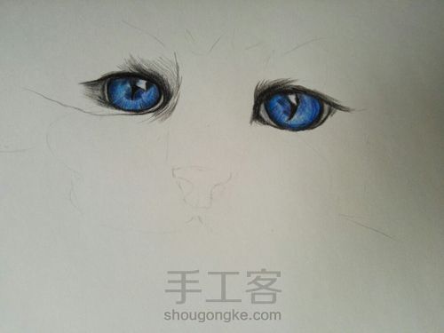 萌猫变张飞猫 第3步