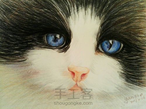 萌猫变张飞猫 第4步