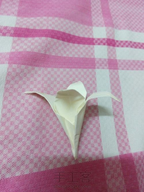 好一朵美丽的百合花 第13步
