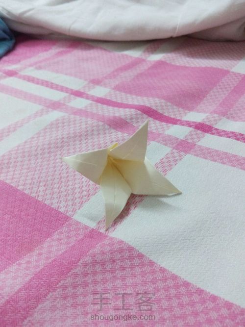 好一朵美丽的百合花 第14步