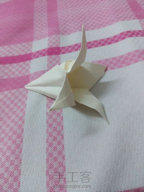 好一朵美丽的百合花 第15步