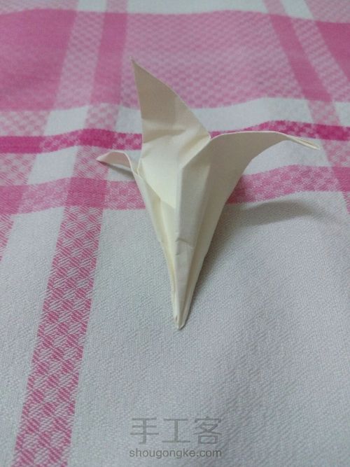 好一朵美丽的百合花 第16步