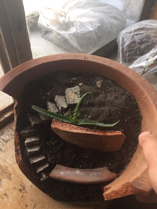 DIY多肉破花盆 第3步