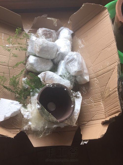 DIY多肉破花盆 第4步