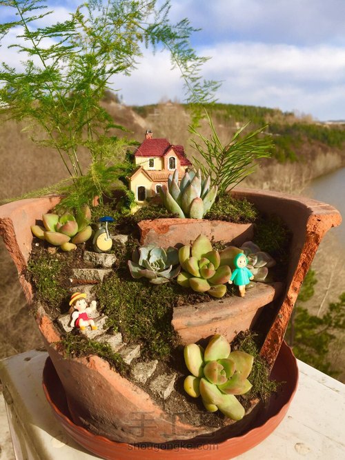 DIY多肉破花盆 第6步