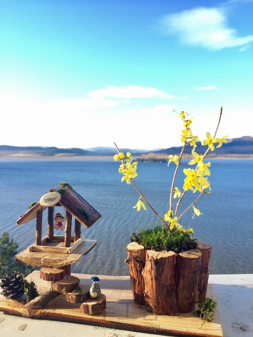 DIY木制花盆 第7步