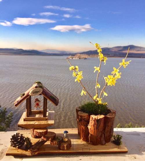 DIY木制花盆 第8步