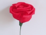 玫瑰花是幸福美丽及爱情的像征，今天我来教大家怎么用皱纹纸制作永不调榭的玫瑰花吧！

记得关注关注关注哦😯
