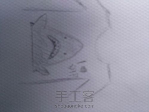 鲨鱼手绘T恤 第1步