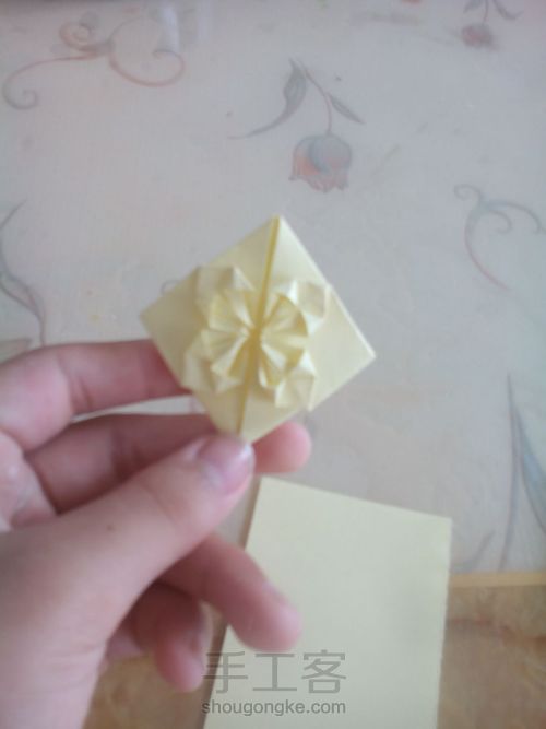 樱花爱心 第11步