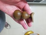 一个“不正经”的小福禄