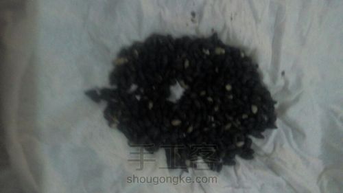 自制黑芝麻糊 第1步