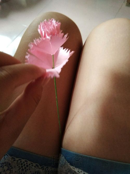 叠康乃馨花 第9步