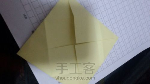 美丽的鲜花 第4步