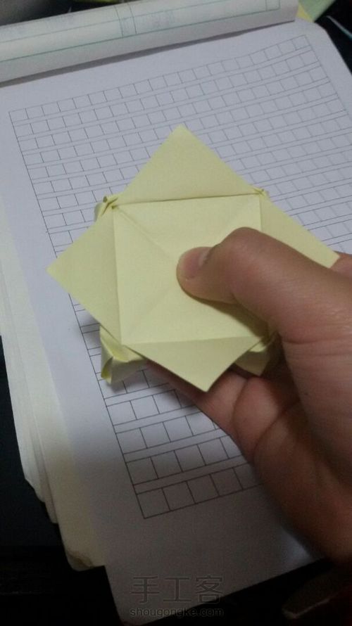 美丽的鲜花 第8步