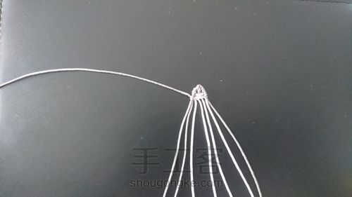 原创呆呆的哈士奇（立体
斜卷结） 第10步
