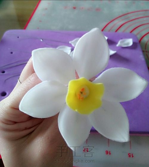翻糖系列——水仙 第14步