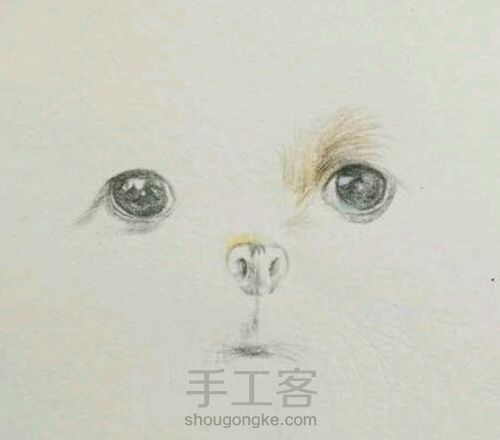 （转）彩铅狗狗 第1步