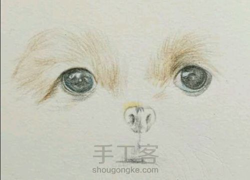 （转）彩铅狗狗 第2步